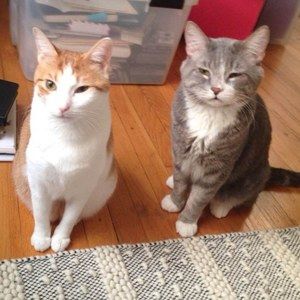 Meet your Posher, Debra